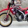Honda CRF300L-11